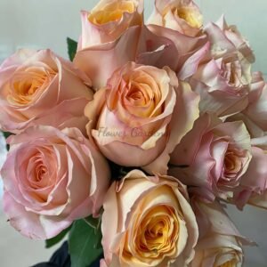 Chablis Rose for sale丨Flower Gardens