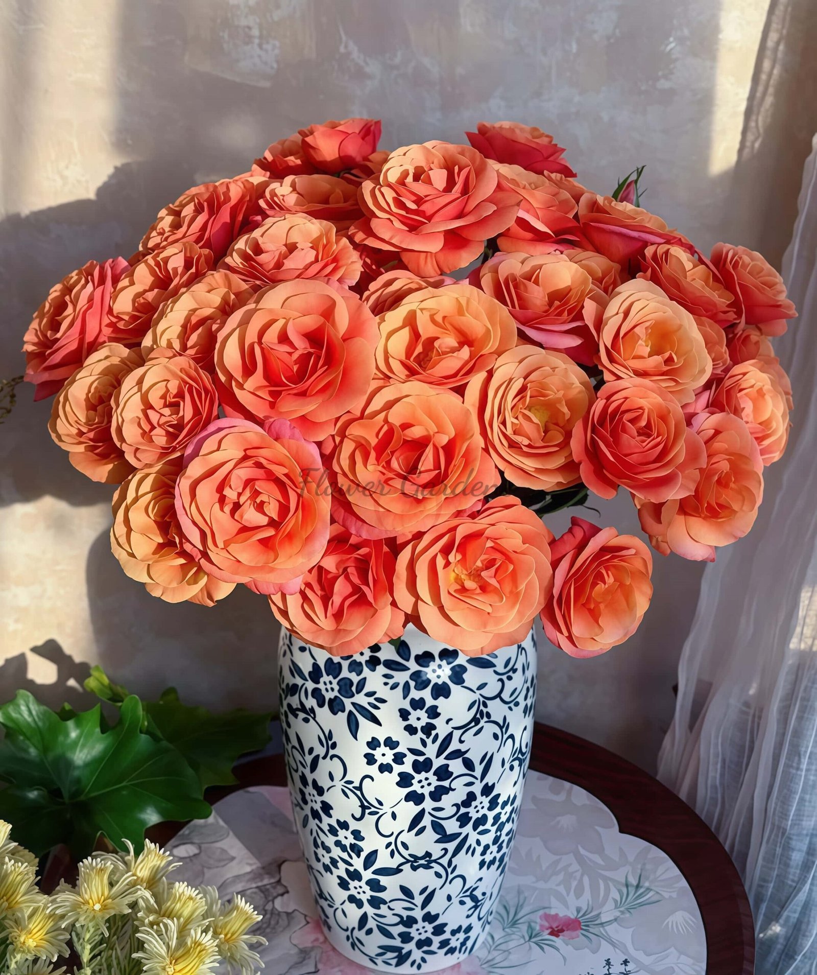 Chengse Tianxin Rose丨Flower Gardens