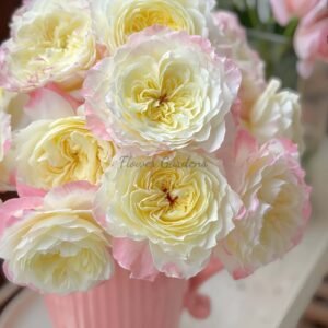 Dianchun Rose for sale丨Flower Gardens