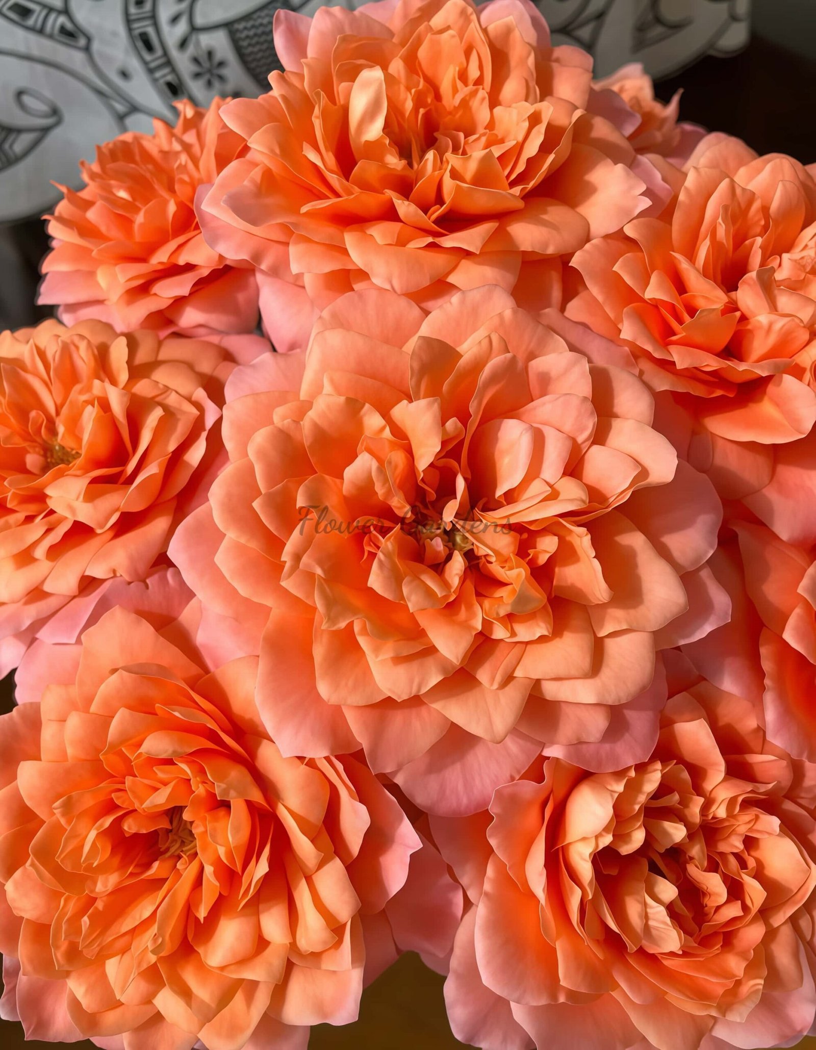 Dragonfly Rose plant丨Flower Gardens