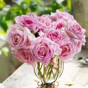 Fendai Rose丨Flower Gardens