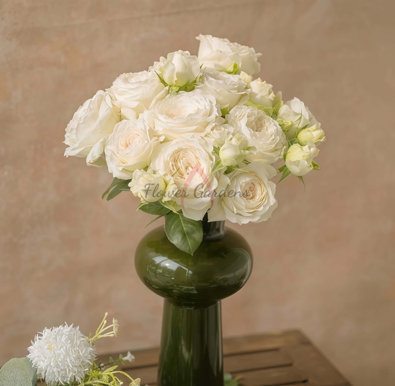 Hanjiangxue Rose丨Flower Gardens