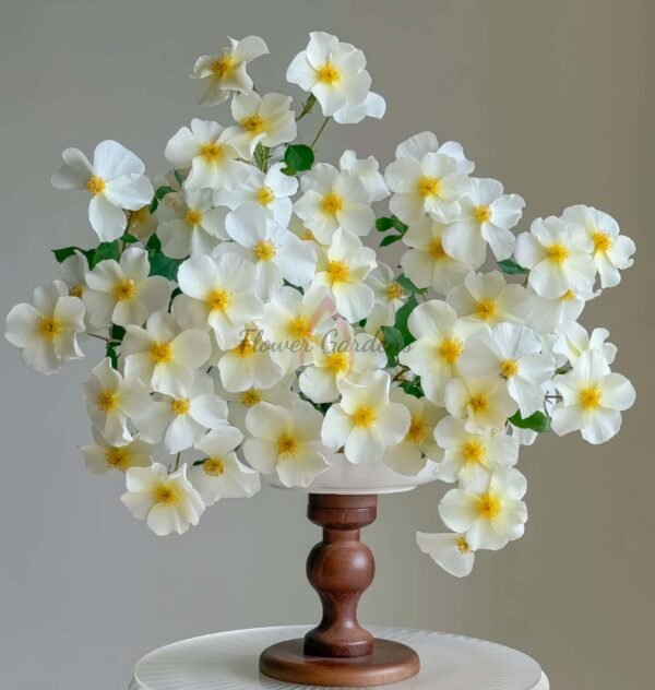 Kew Gardens Rose丨Flower Gardens