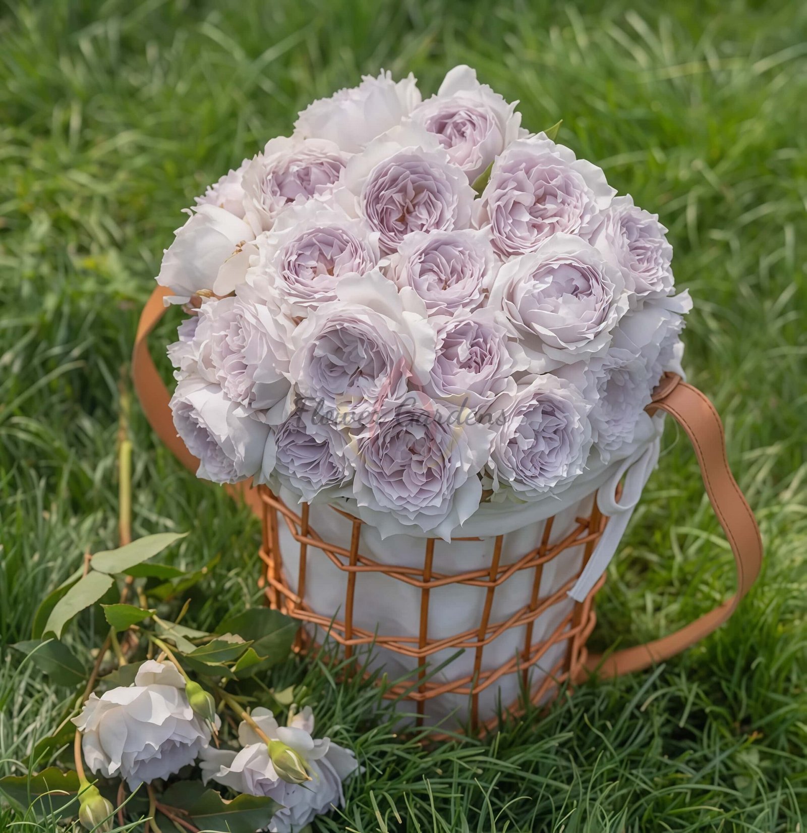 Kongshan Xinyu Rose丨Flower Gardens