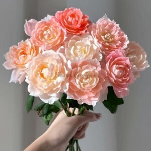 La Chance D'amour Rose for sale丨Flower Gardens