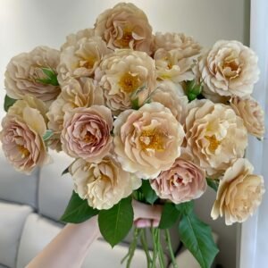 La broche Rose丨Flower Gardens