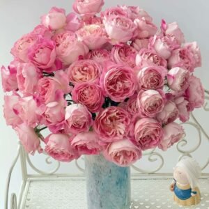 Meirenzui Rose丨Flower Gardens