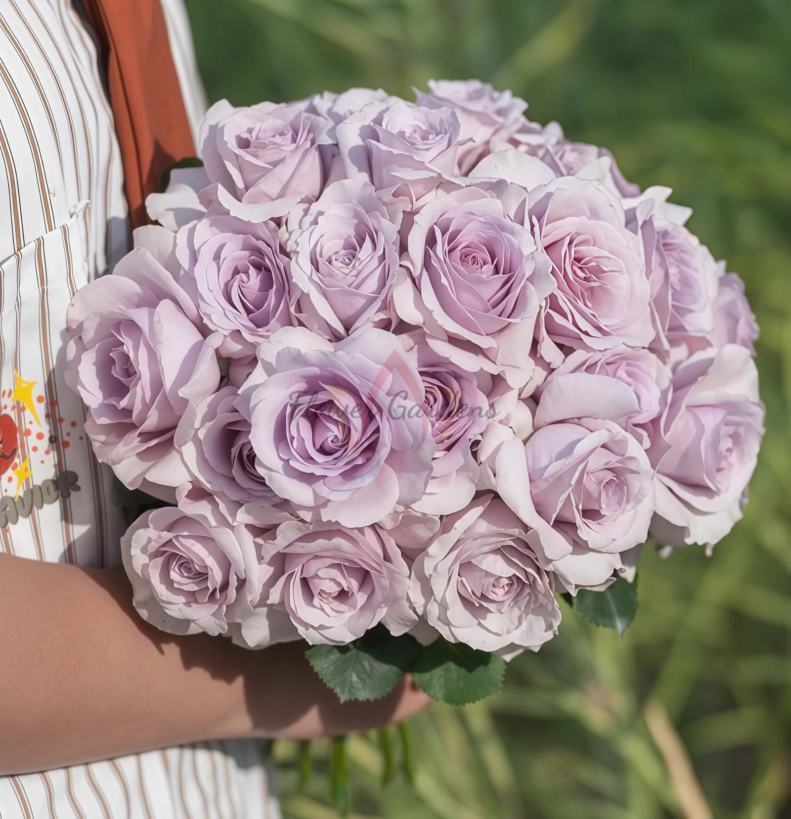 Qianchonglan Rose丨Flower Gardens