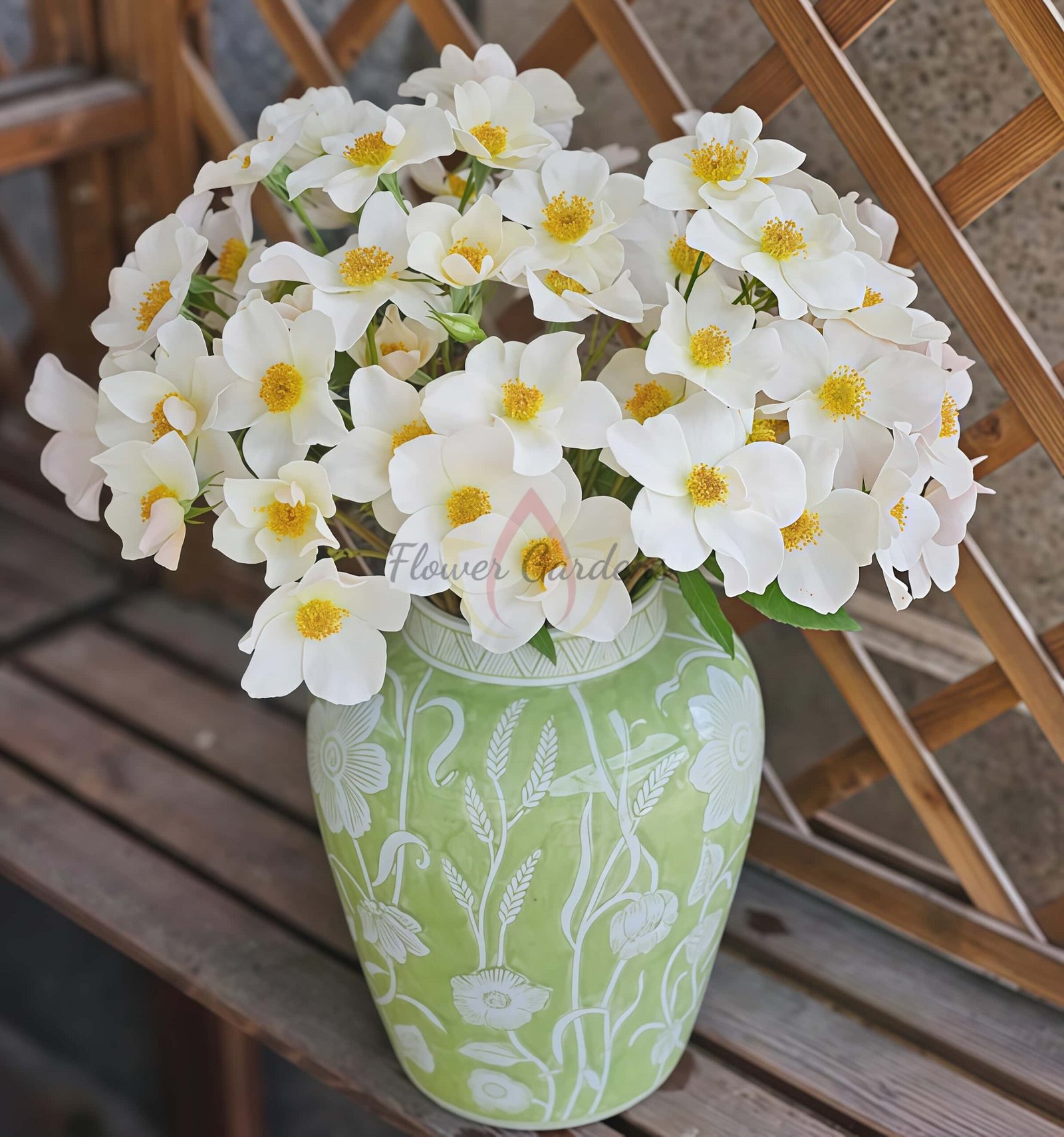 Sally Holmes Rose plant丨Flower Gardens