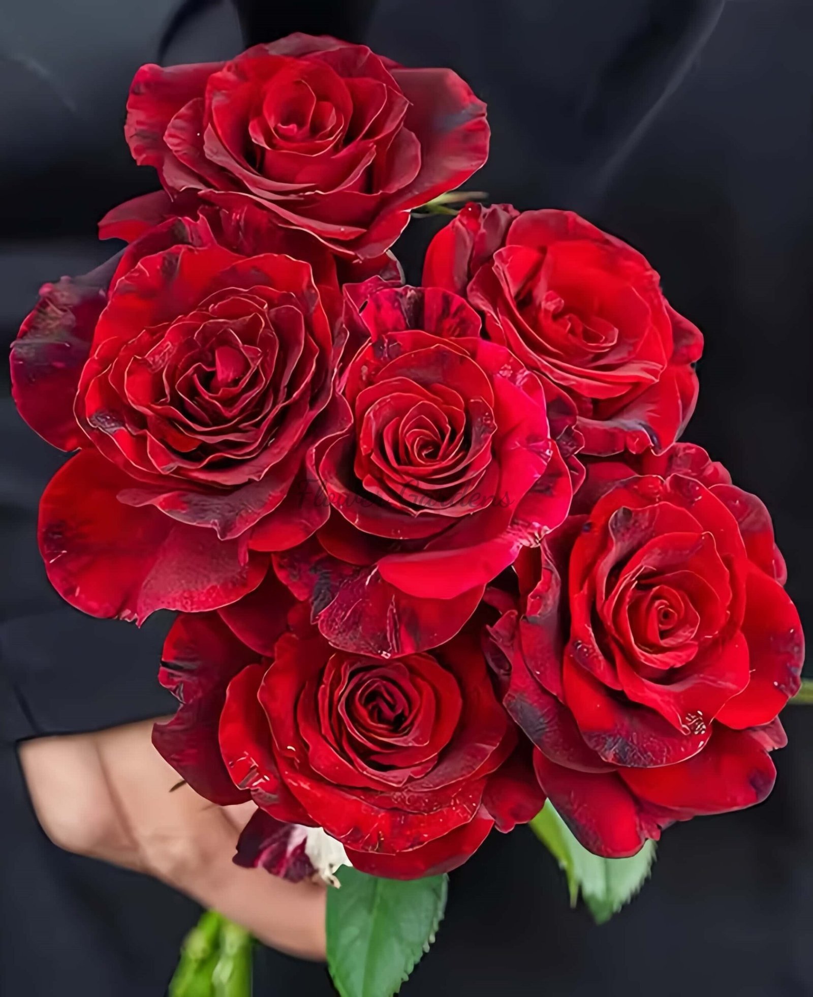 Si shi jin Rose丨Flower Gardens