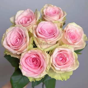 Vitara Rose丨Flower Gardens