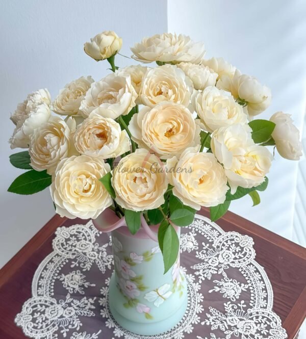 Windermere Rose丨Flower Gardens