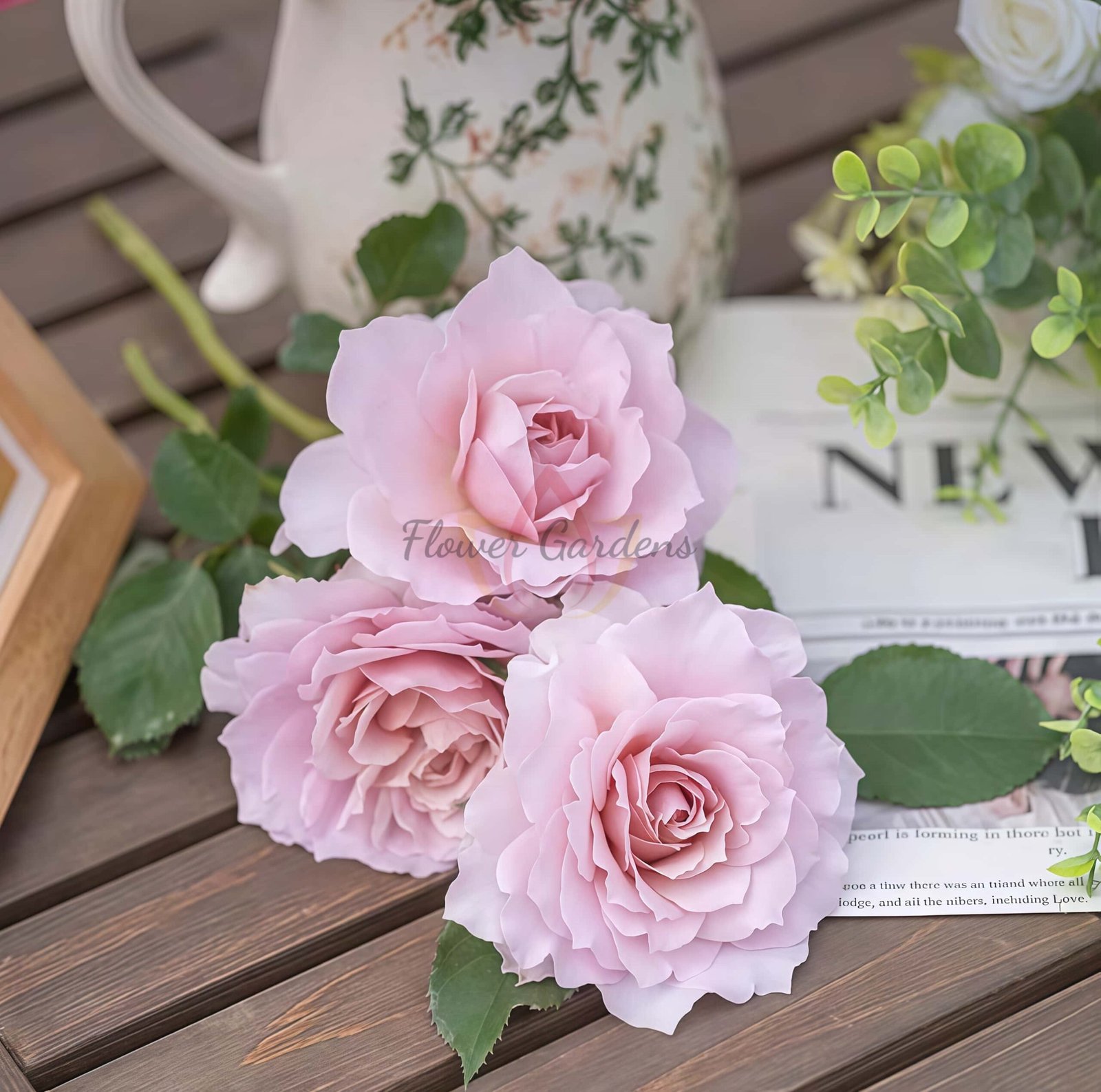 Wushixian Rose plant丨Flower Gardens