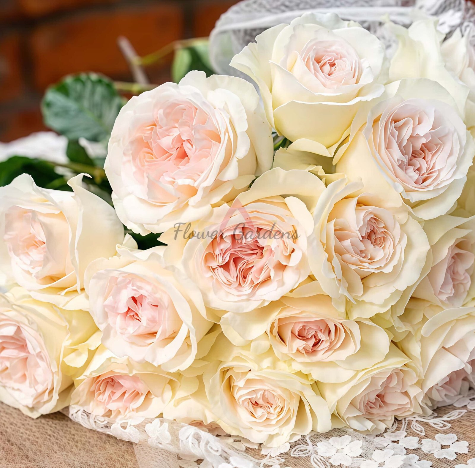 Xiangsaixue Rose丨Flower Gardens