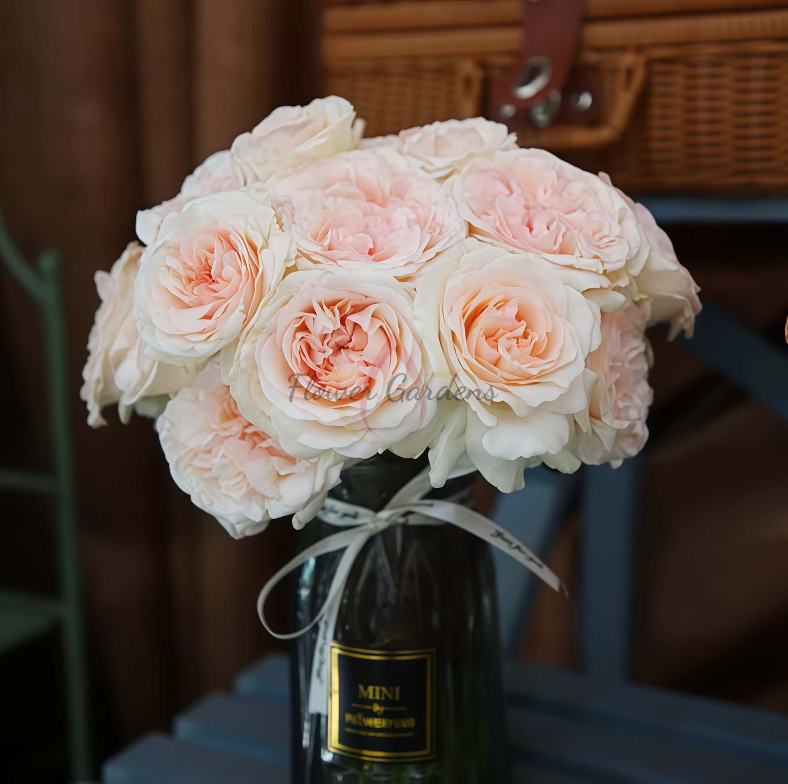 Xiangsaixue Rose plant丨Flower Gardens