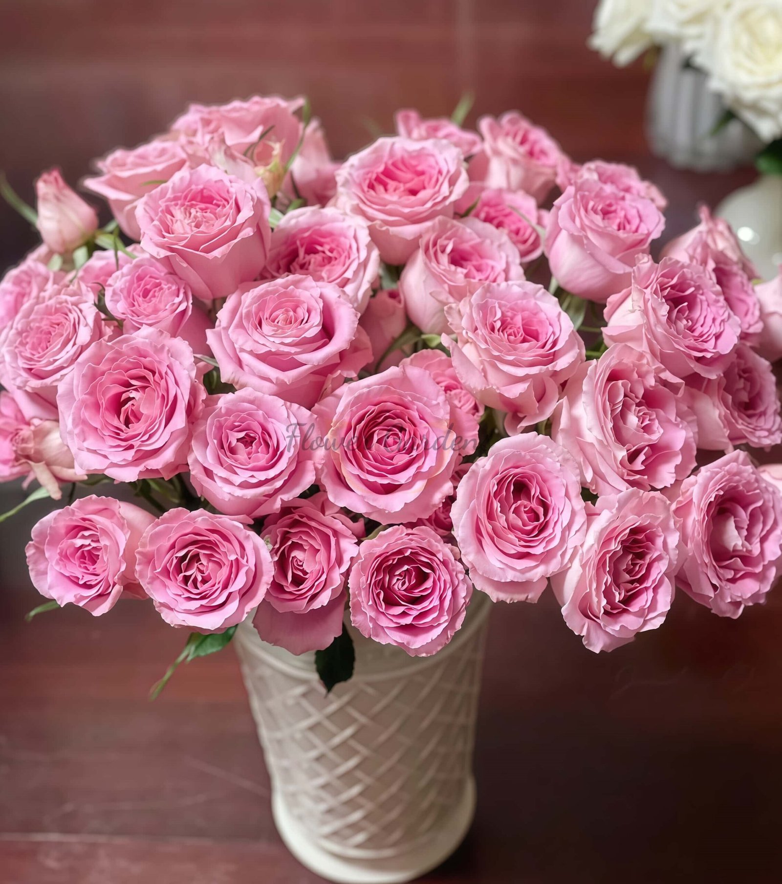 Xiyao Rose丨Flower Gardens