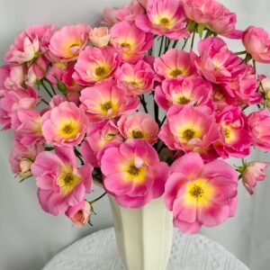 Xizi yanyu Rose丨Flower Gardens