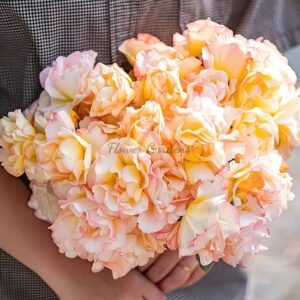 Yun KAI Rose丨Flower Gardens