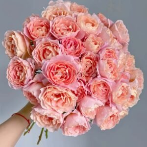 Zhiqiu Rose丨Flower Gardens