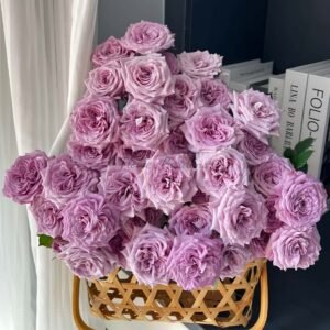 Ziling Rose丨Flower Gardens