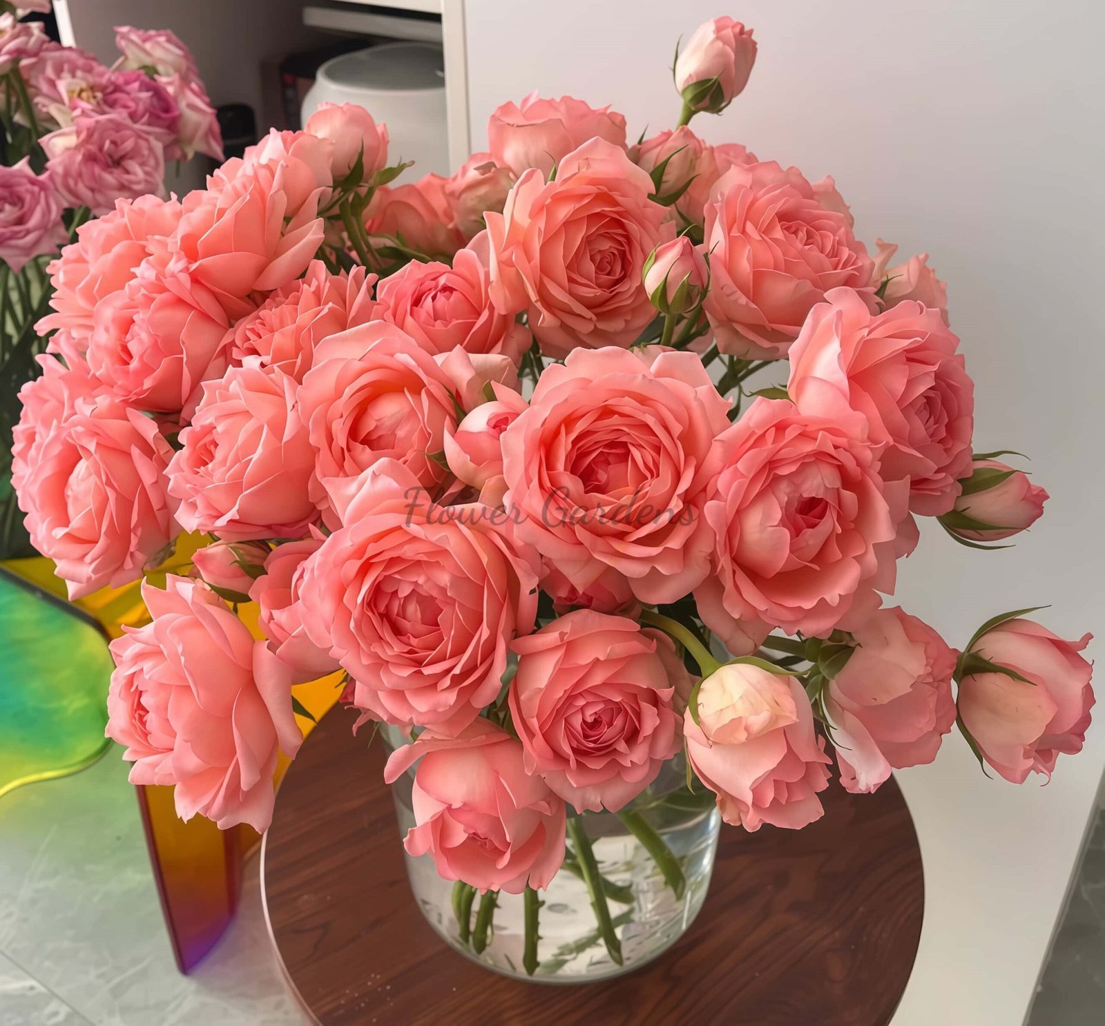 Zuixiangyun Rose for sale丨Flower Gardens