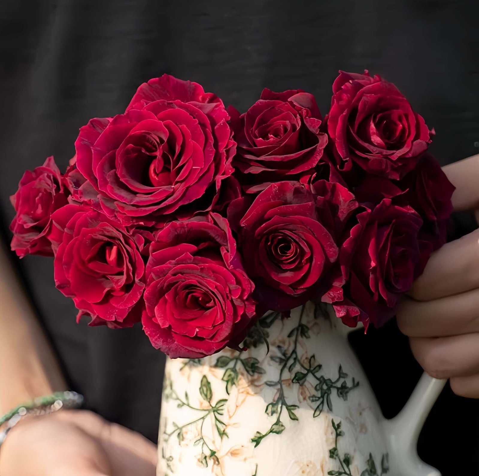 jiangmeijiu Rose丨Flower Gardens