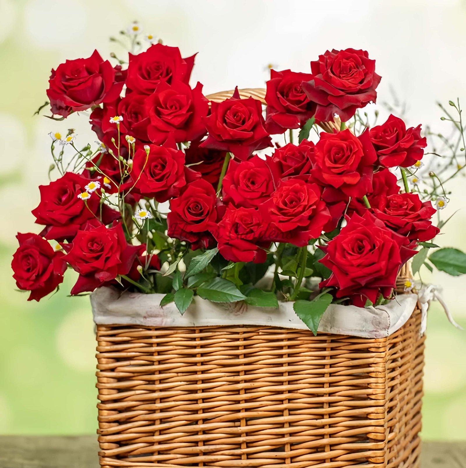 jiangmeijiu Rose for sale丨Flower Gardens