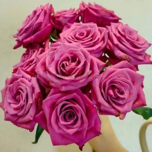 Cool Blue Rose丨Flower Gardens