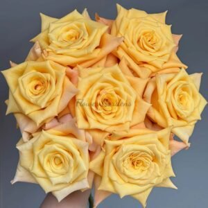 Lemon Milk Tea Rose plant丨Flower Gardens