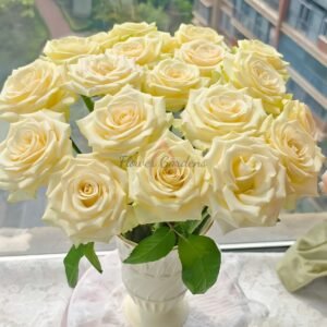 Little Butter Rose plant丨Flower Gardens