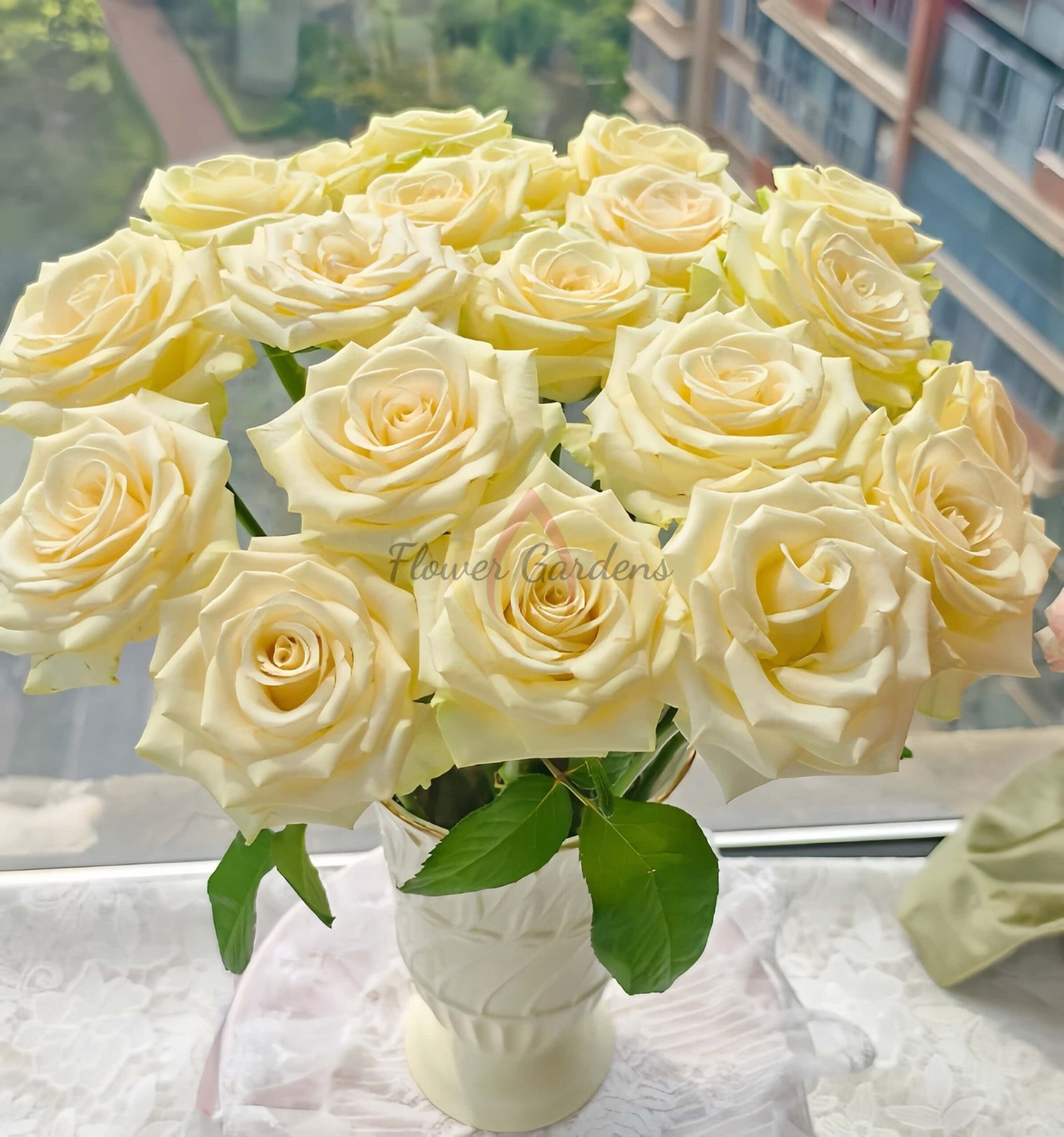 Little Butter Rose plant丨Flower Gardens