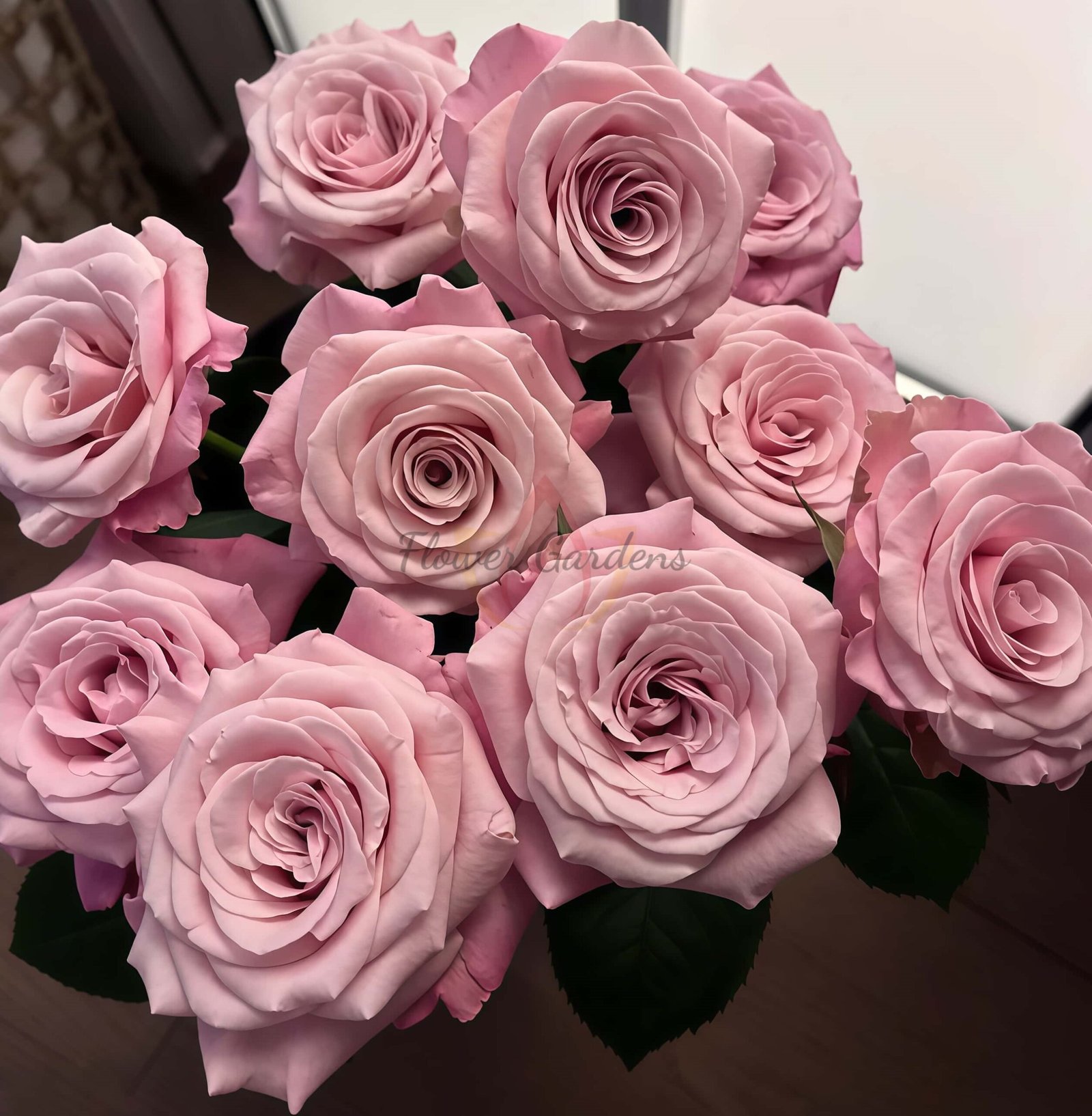 Mziya Rose for sale丨Flower Gardens