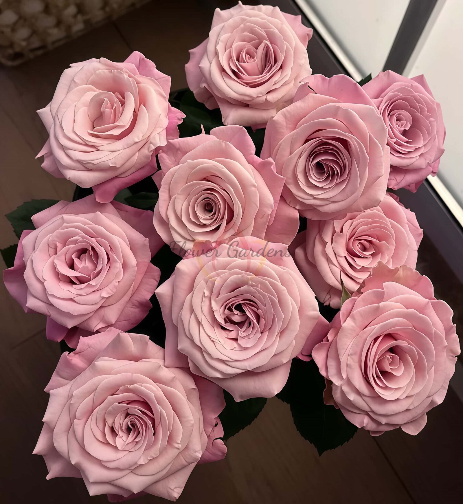 Mziya Rose丨Flower Gardens