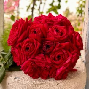 Republique de Montmartre Rose丨Flower Gardens