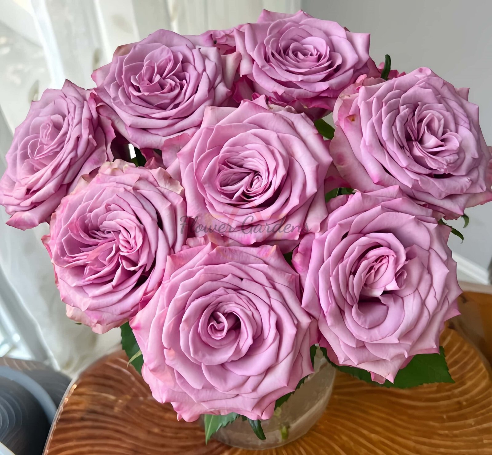 Su Mei Zi Rose for sale丨Flower Gardens