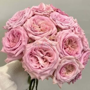 Sweet 4 Love Rose丨Flower Gardens