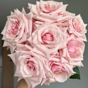 Sweet Belle Rose丨Flower Gardens