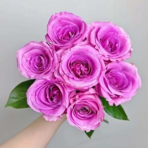 Water Game Rose丨Flower Gardens