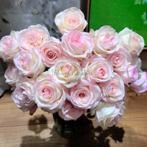 Yulu Baitaozi Rose for sale丨Flower Gardens
