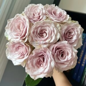 Zuanshi Lifu Rose丨Flower Gardens