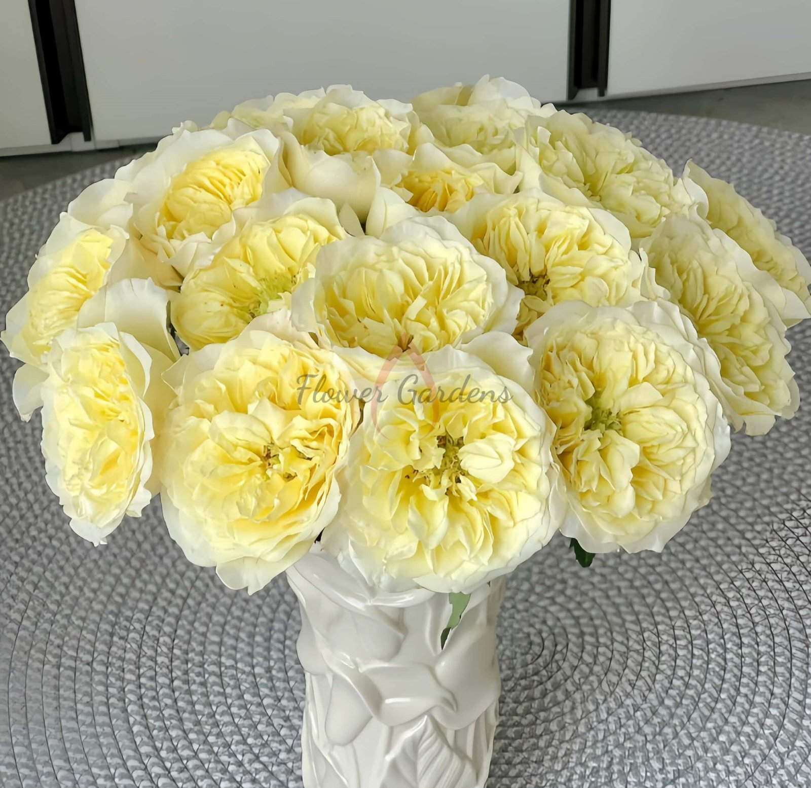 Asphyxiation Rose丨Flower Gardens