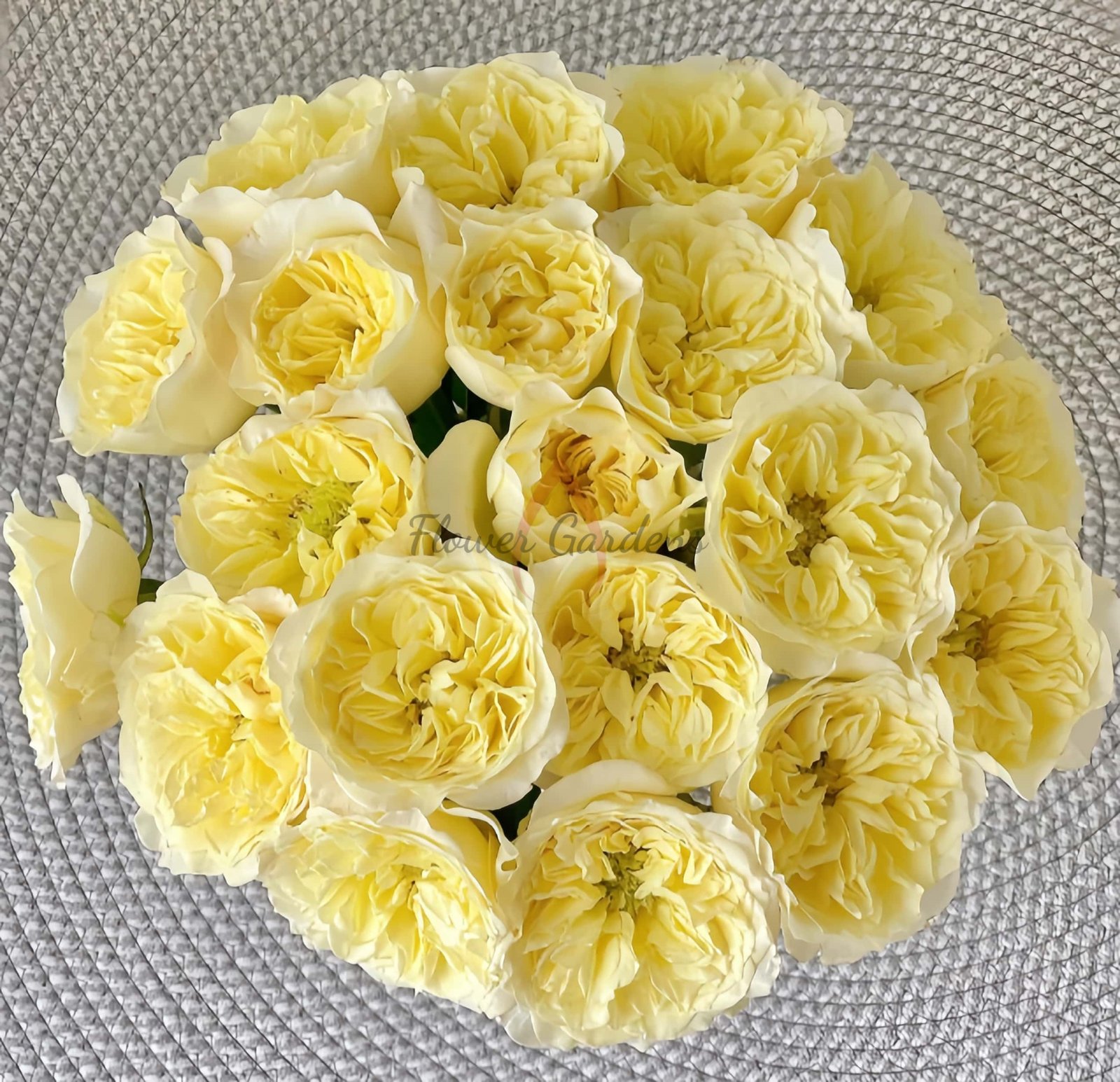 Asphyxiation Rose for sale丨Flower Gardens