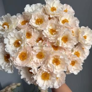 Bai Yu Xianzi Rose plant丨Flower Gardens