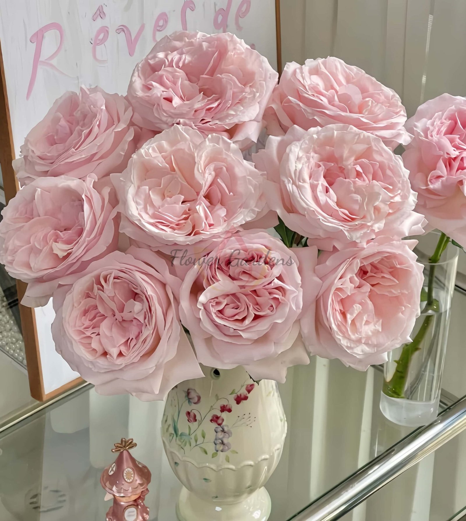 Powder Puff Rose丨Flower Gardens