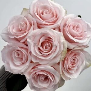 Sweet Beat Rose丨Flower Gardens